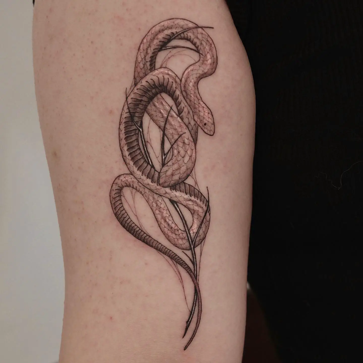 White snake tattoo by 1013blk