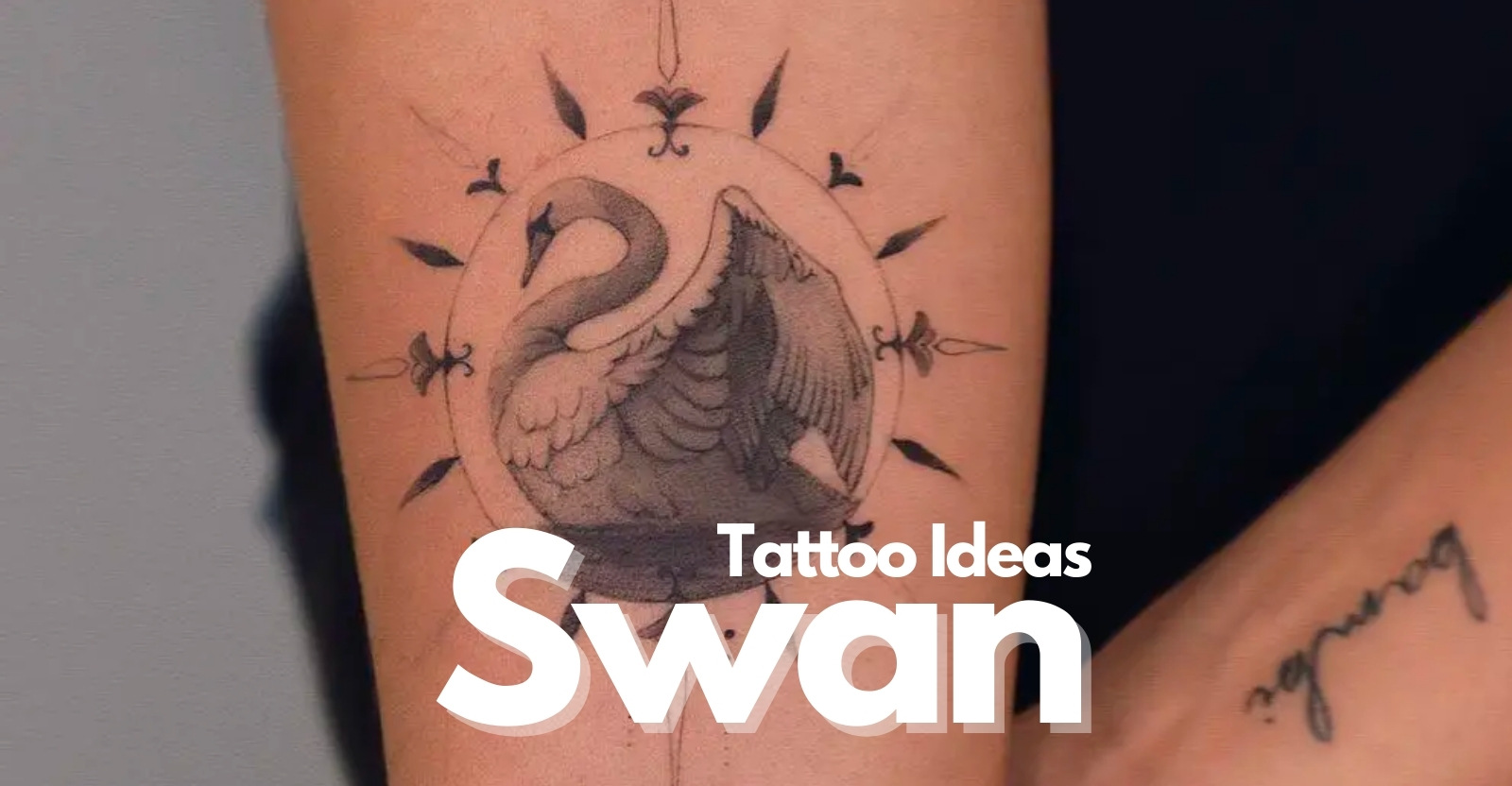 Update 97+ about swan tattoo meaning super hot .vn