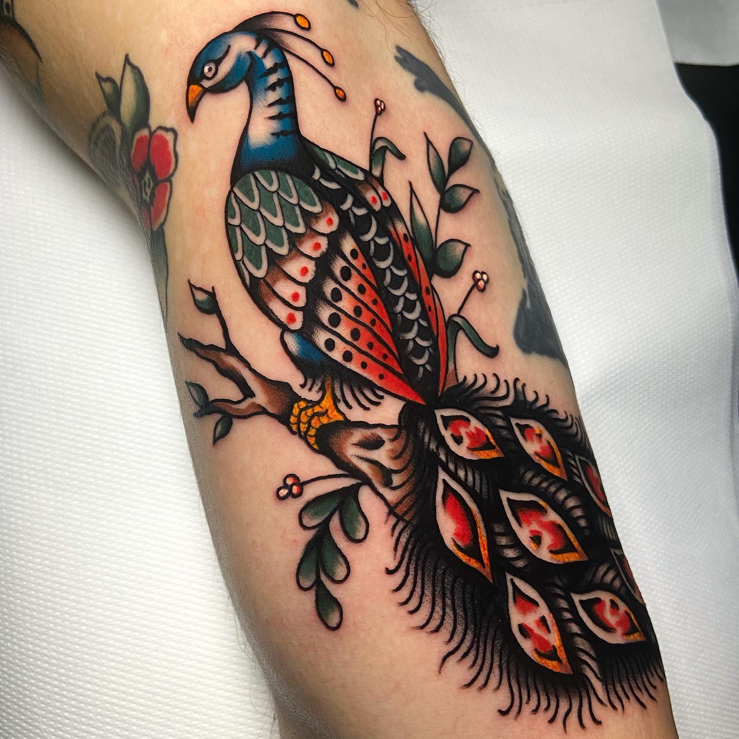traditional peacock tattoo design by thommyboytattooer