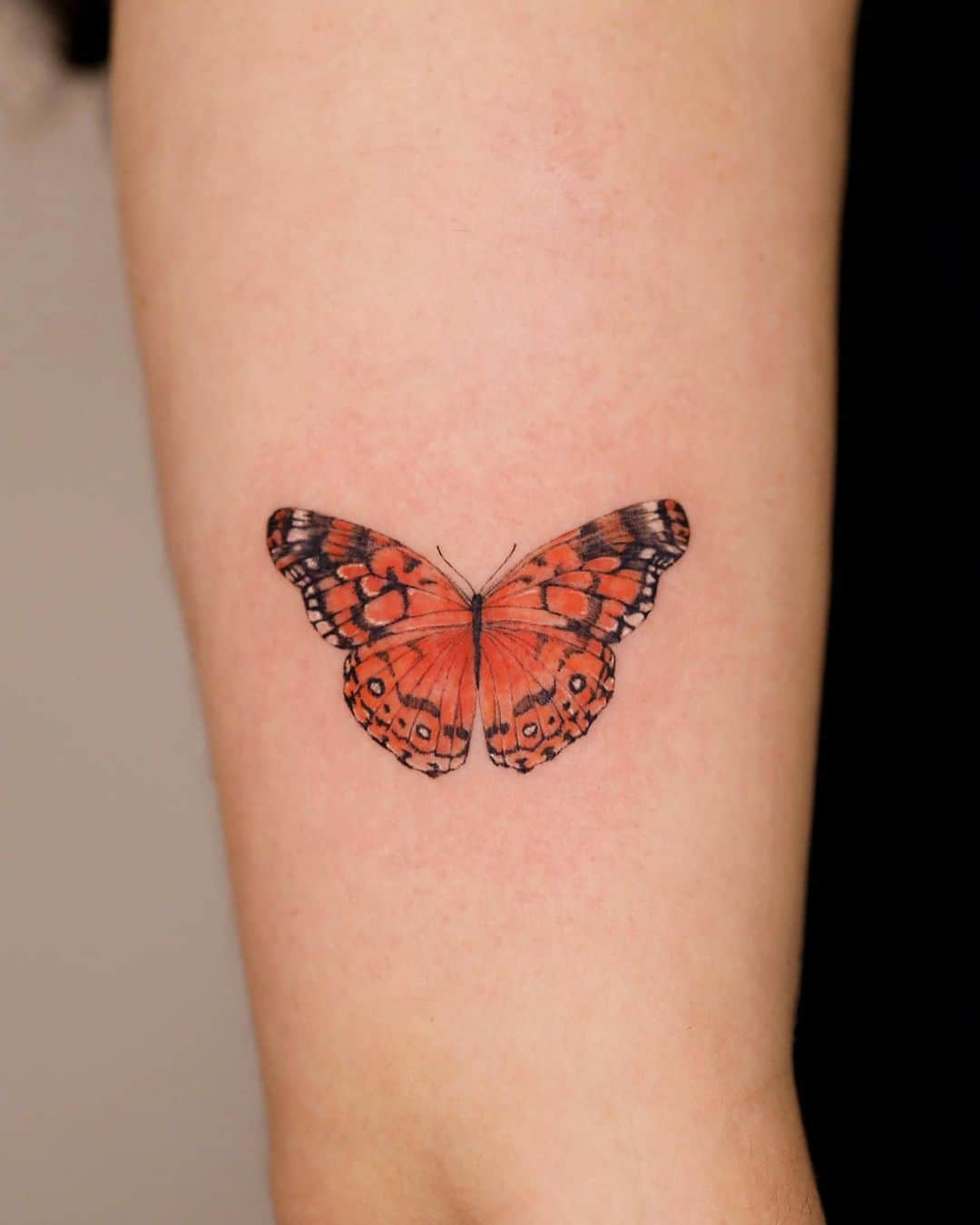 Butterfly tattoos by tattooist gaon