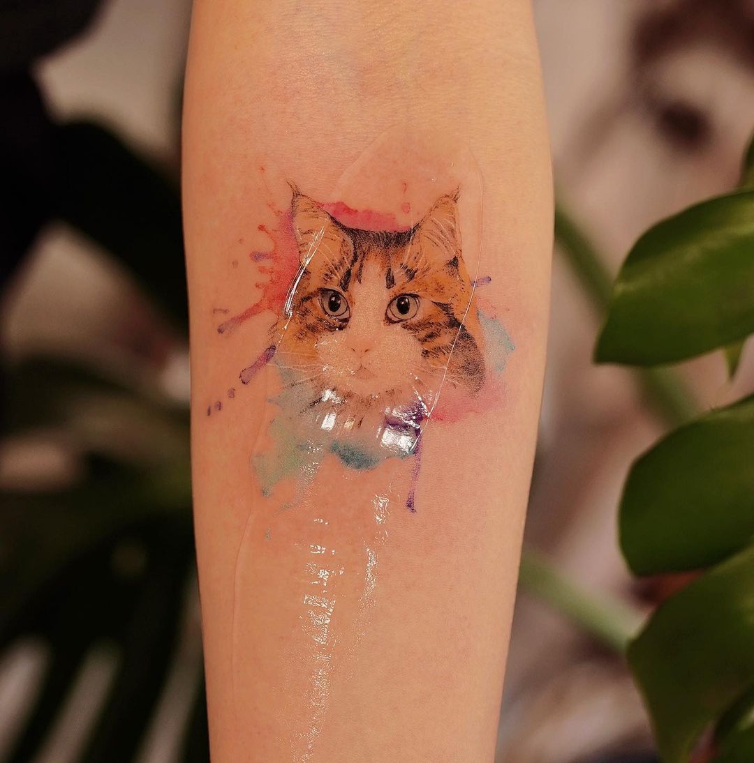 Cat tattoos by koizhou tattooist 2