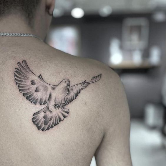 Dove tattoo for men 1