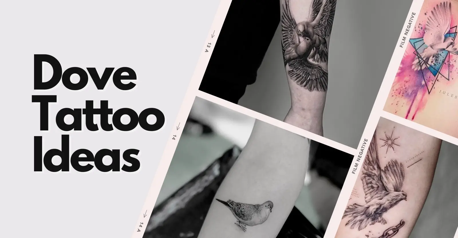 Dove tattoo design and ideas