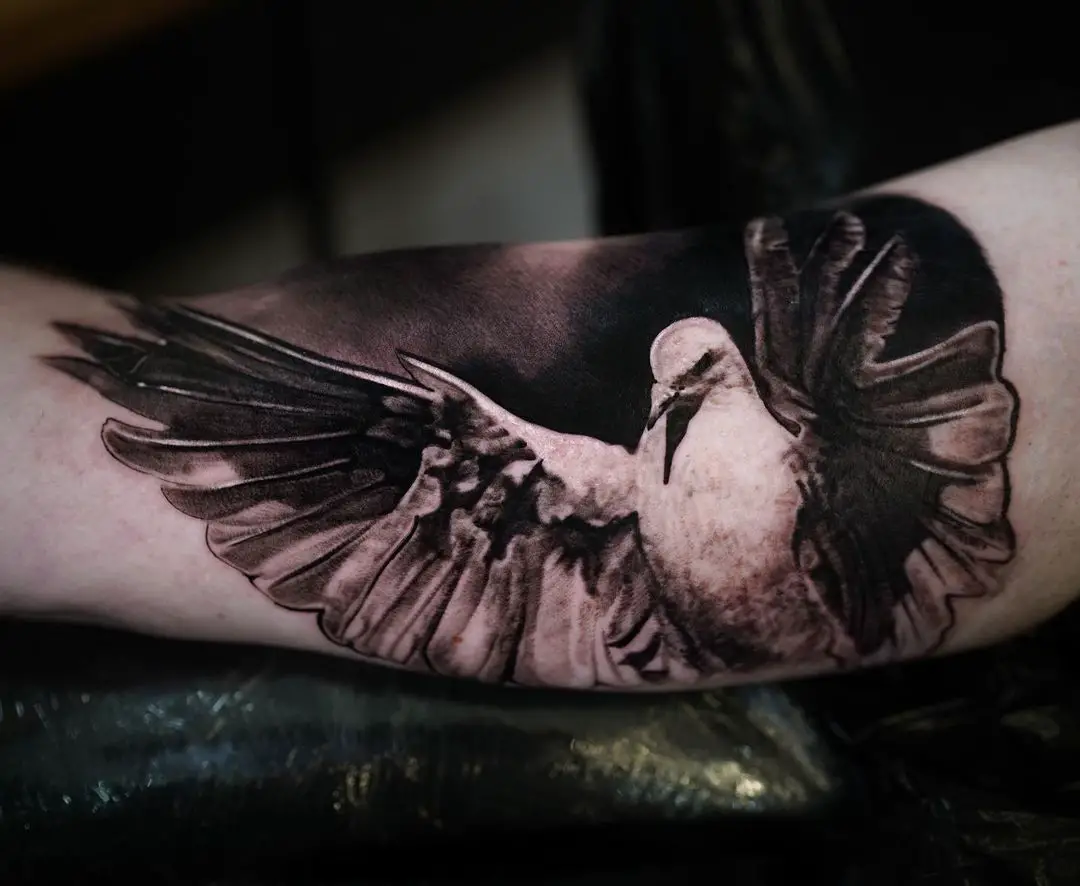 Dove tattoo on forearm by lukasbrzezinski.tattoo