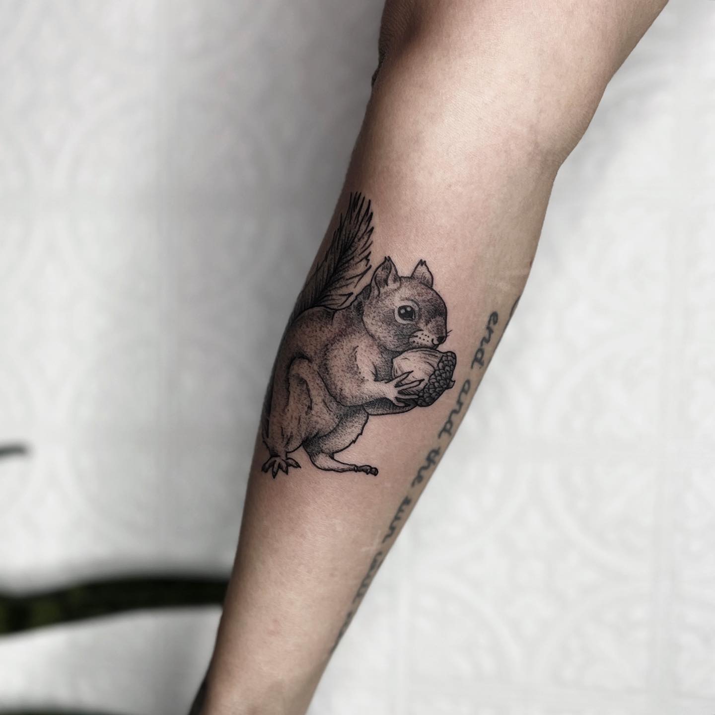 Eating squirrel tattoo by somberallure