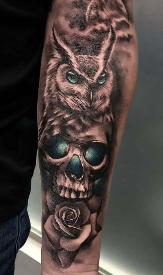 Owl and skull tattoo 1
