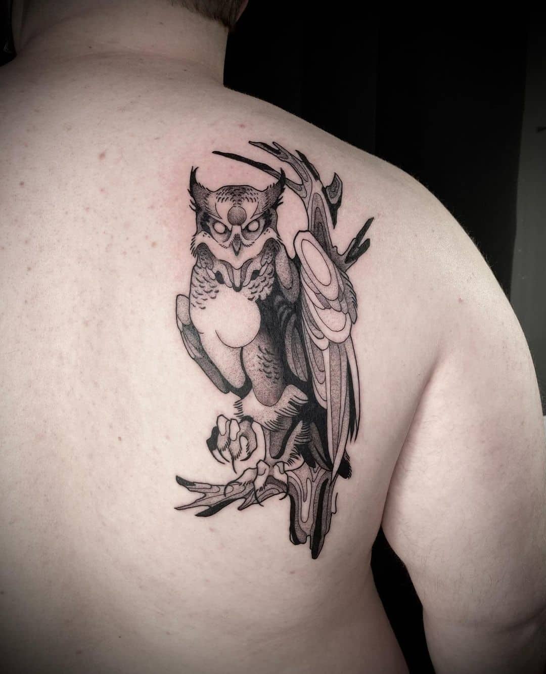 Owl tattoos on back by