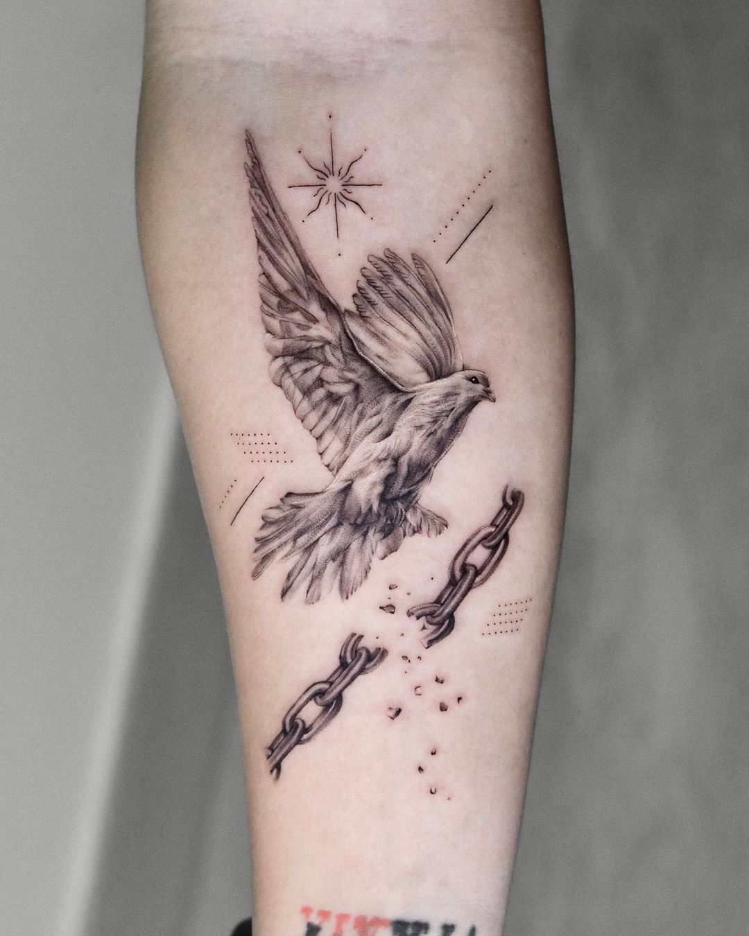 Realistic dove tattoo by antlers tattoohk