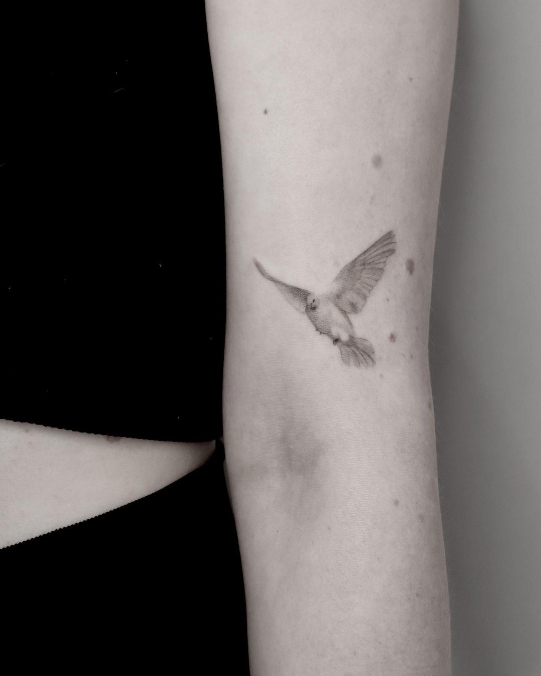 Realistic dove tattoo by sliwka.tattoo