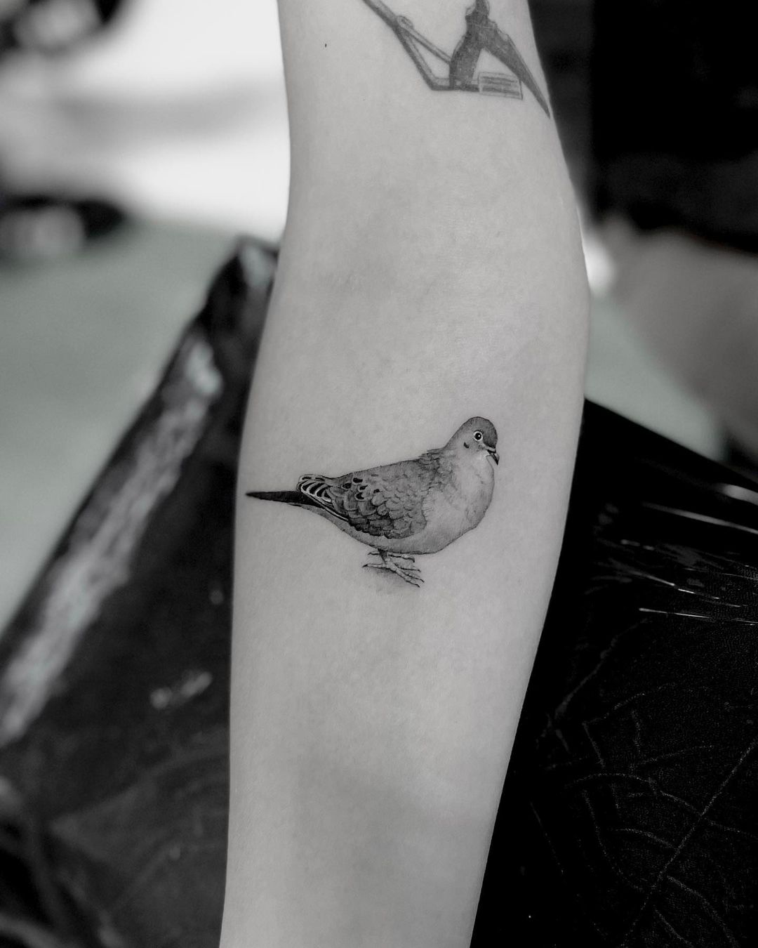 Realistic dove tattoos by sirinate.s