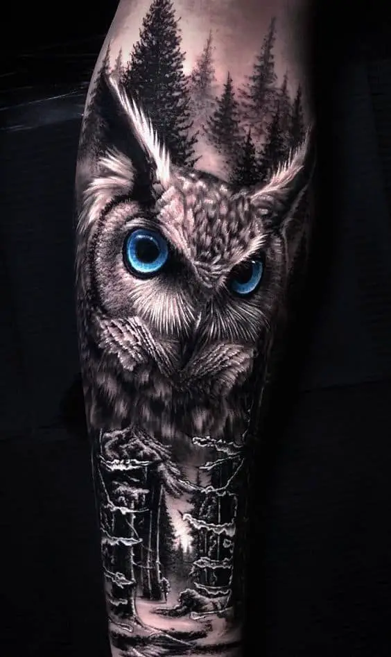 Realistic owl 1