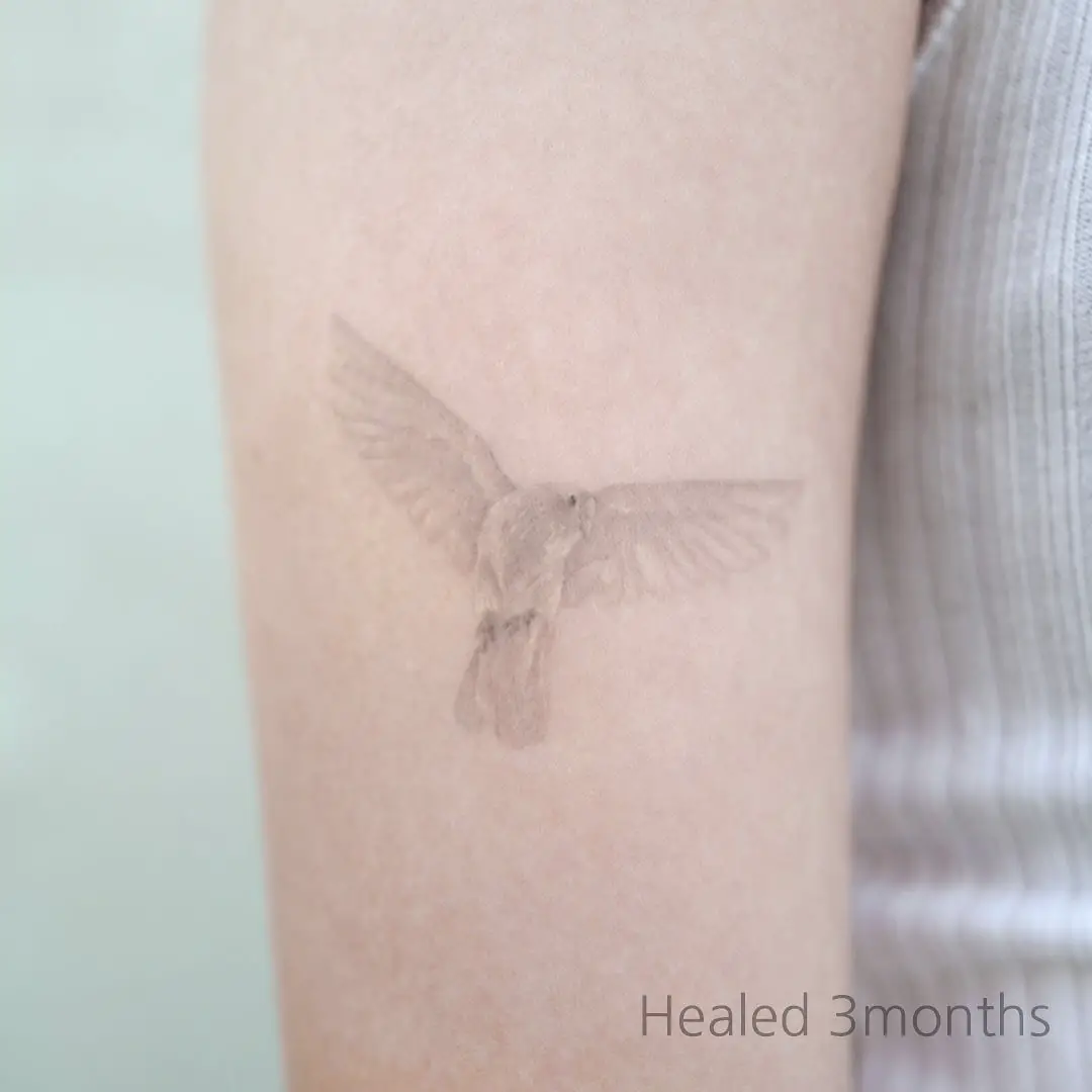 Simple dove tattoo by tattooist kimria