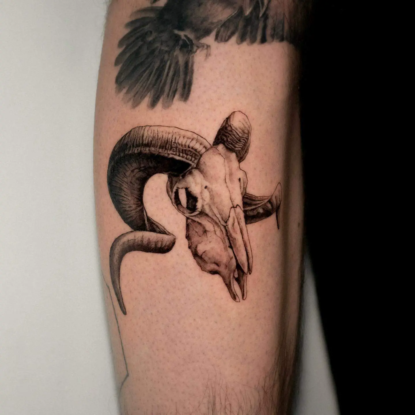 Aries tattoo by tattooist marco