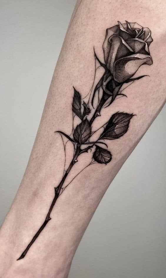 Black rose tattoo 1