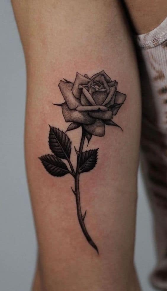 Rose tattoo 2 1