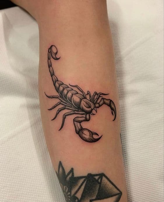 Scorpion tattoo 1