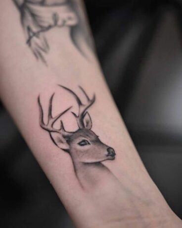 Tattoo uploaded by Sarah Hernandez • Deer tattoo with some mountains.  #mountains #deer #animals • Tattoodo