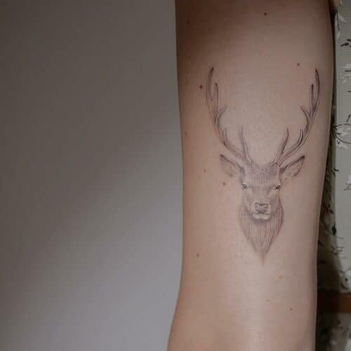 Amazing Deer Tattoo Design Ideas Unveiling The Extraordinary