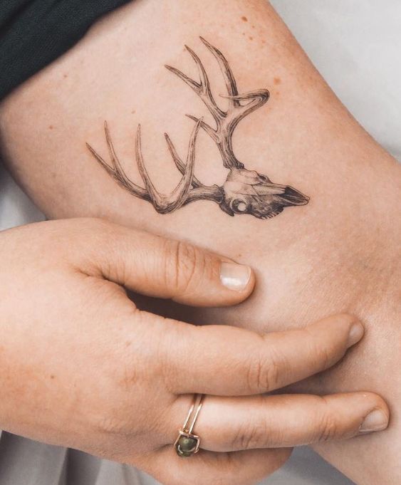 Izzet Abatlevi Tattoos - ☠️ Dotwork Deer Skull 🦌. . . #tattoo #tattoos  #tatted #tattooartist #inked #inkedup #tattooart #inkedmag #inkjunkeyz  #inklife #instatattoo #bodyart #TTTpublishing #tattoo_art_worldwide  #teamforklift #tattoodo #tattedskin ...