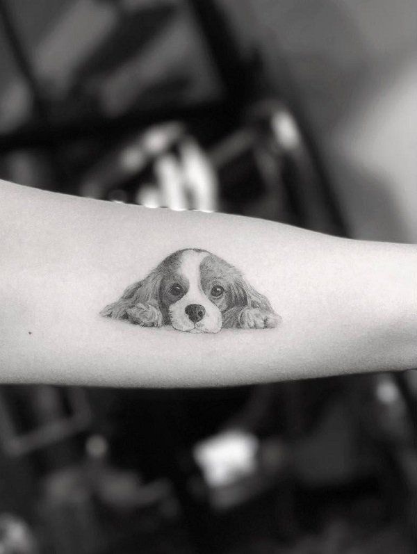 Dog tattoo 1