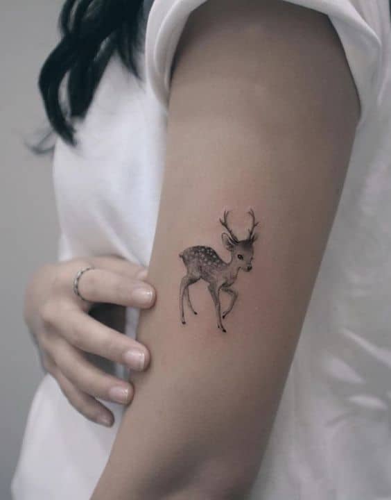 12+ Small Deer Antler Tattoo Designs | Antler tattoo, Deer tattoo, Deer  antler tattoo