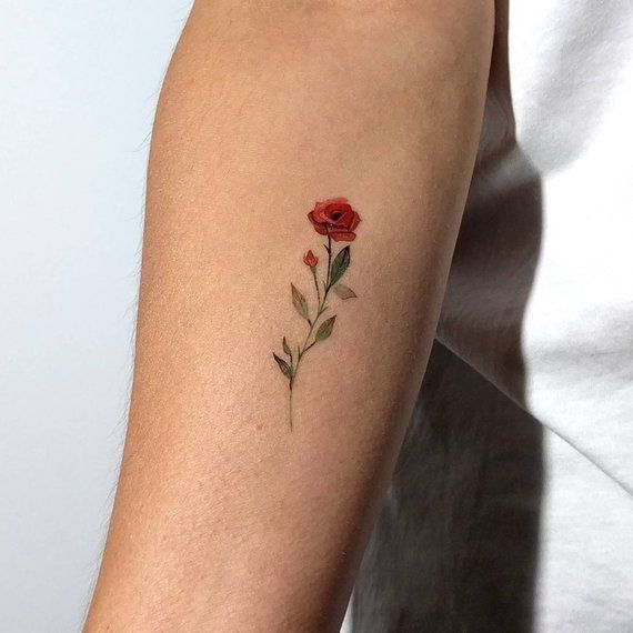 Rose tattoo 2