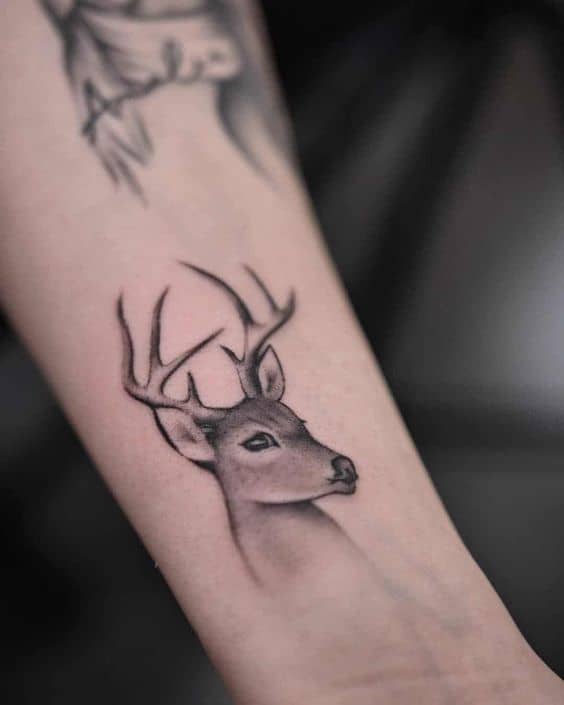 Deer Tattoo | Deer head tattoo, Deer tattoo, Animal sleeve tattoo