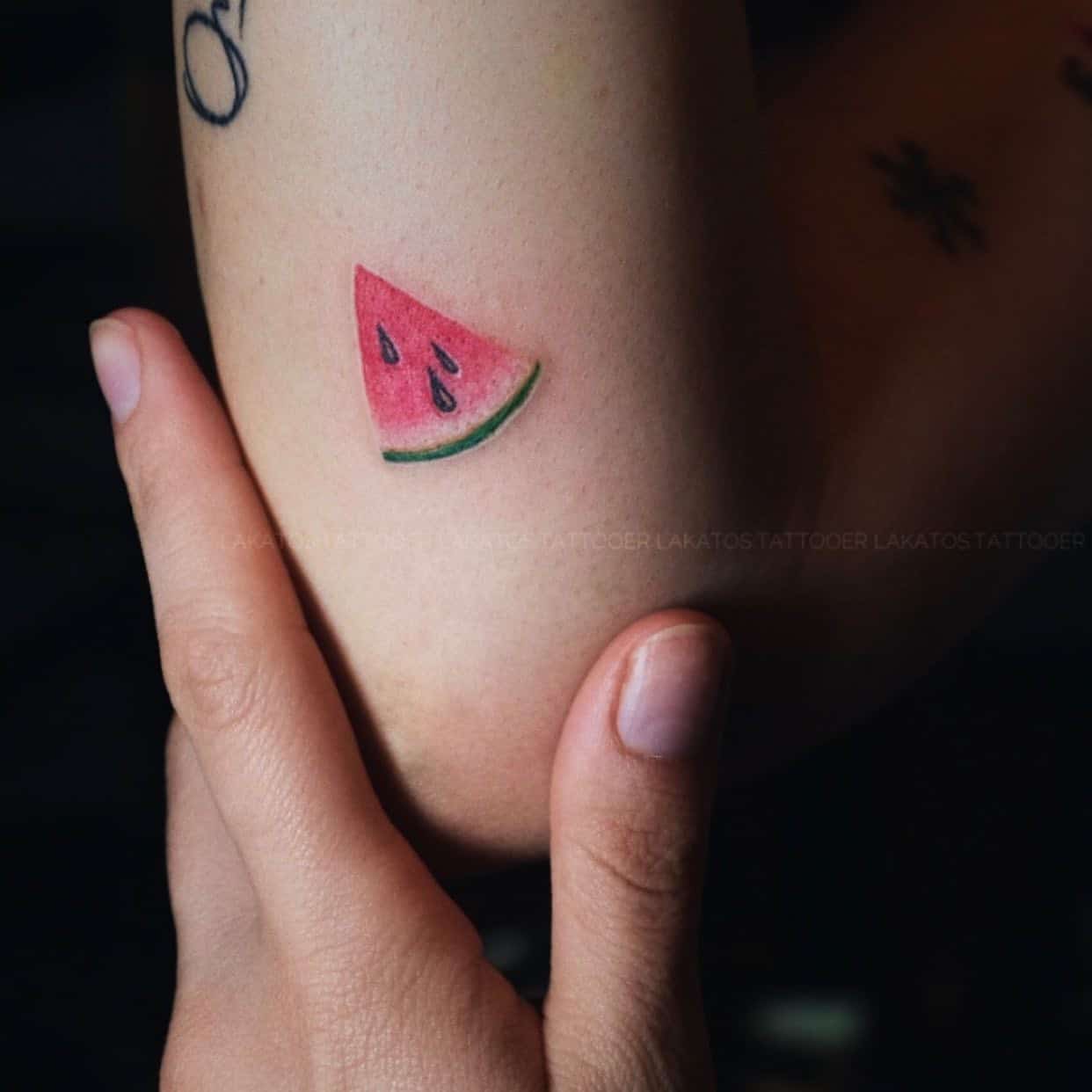 Watermelon tattooby lakatos.tattooer