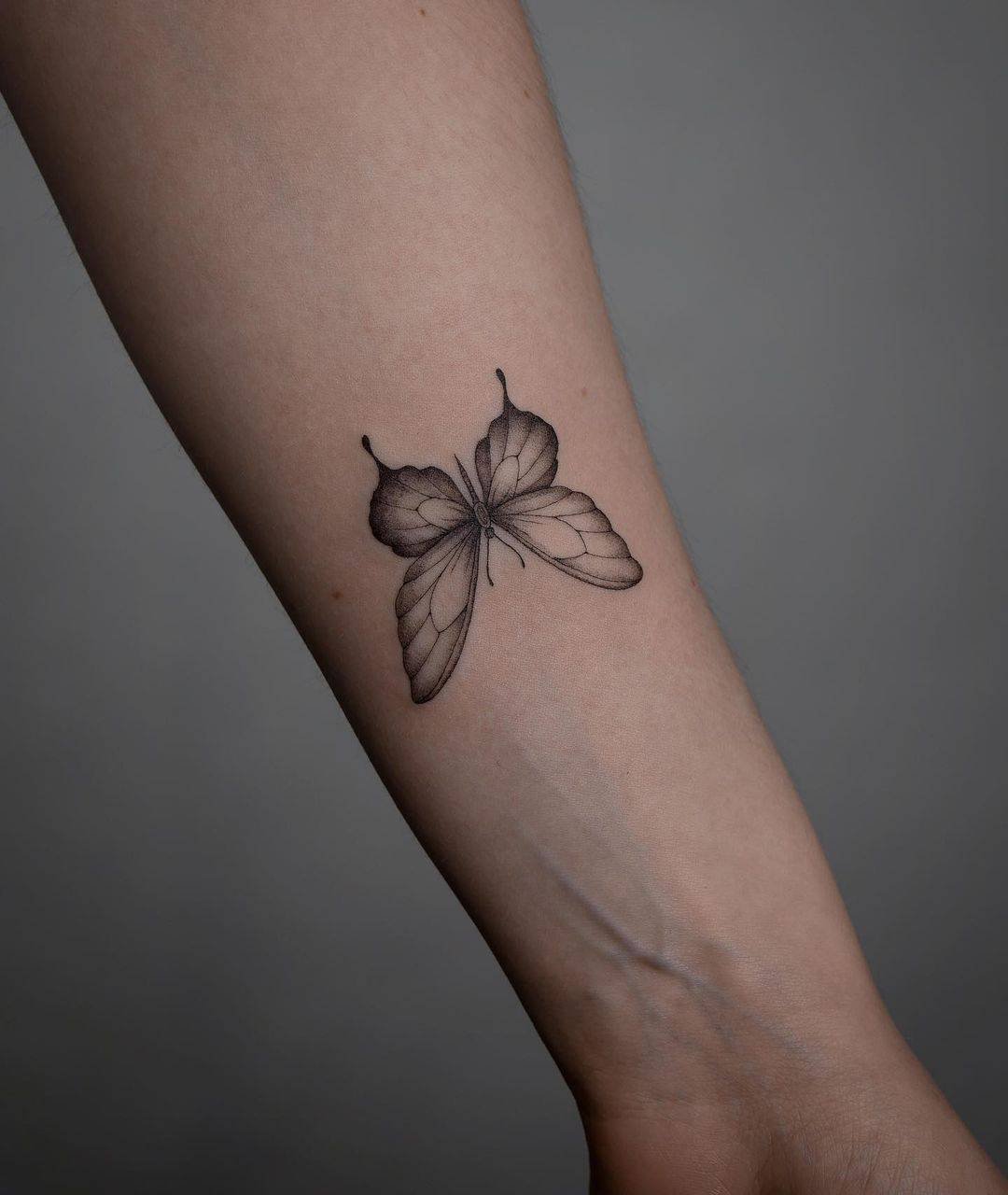 Butterfly tattoo design by annarehtattoo