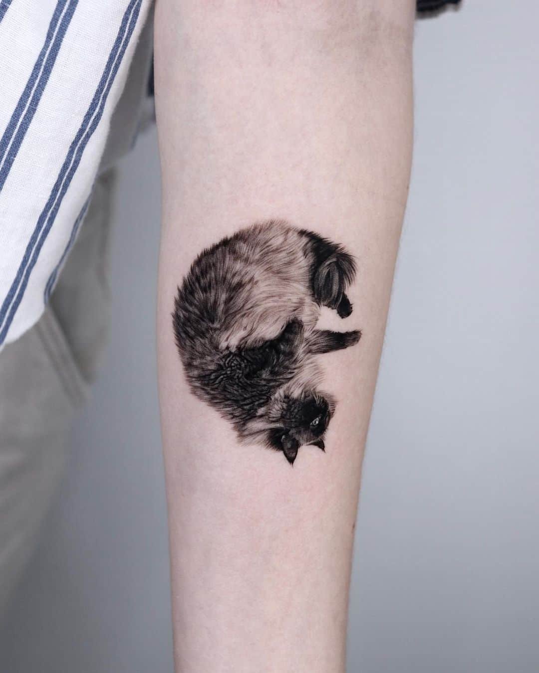 Cat tattoo design by tattooist yeono