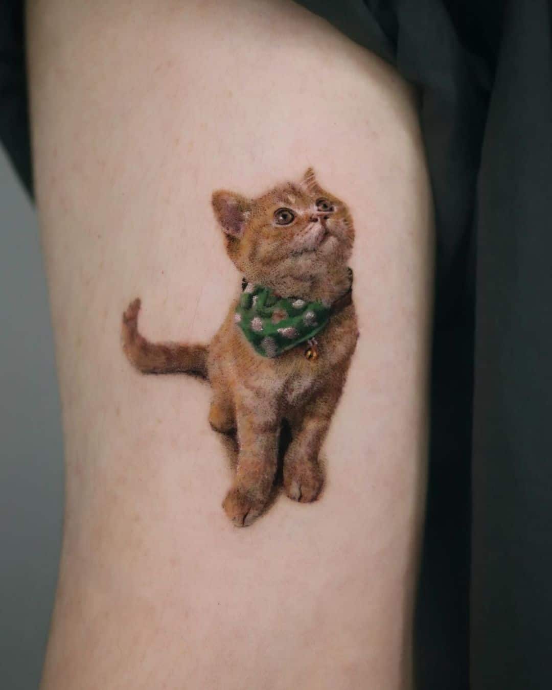 Cat tattoo designs by