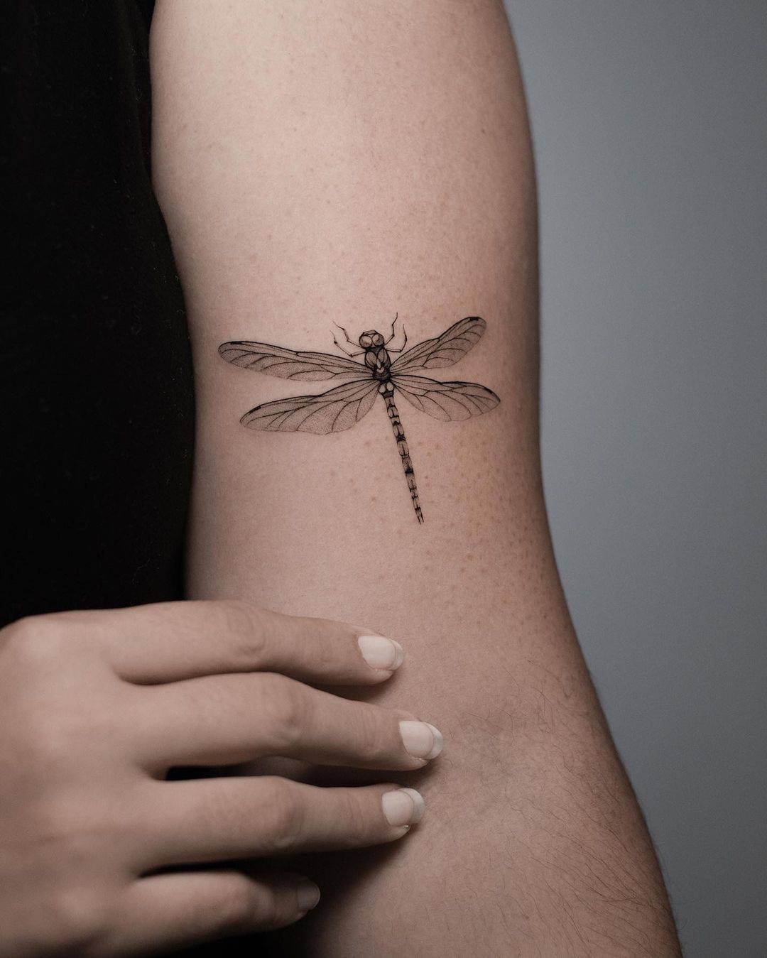 Dragonfly tattoo design by yo soy vago