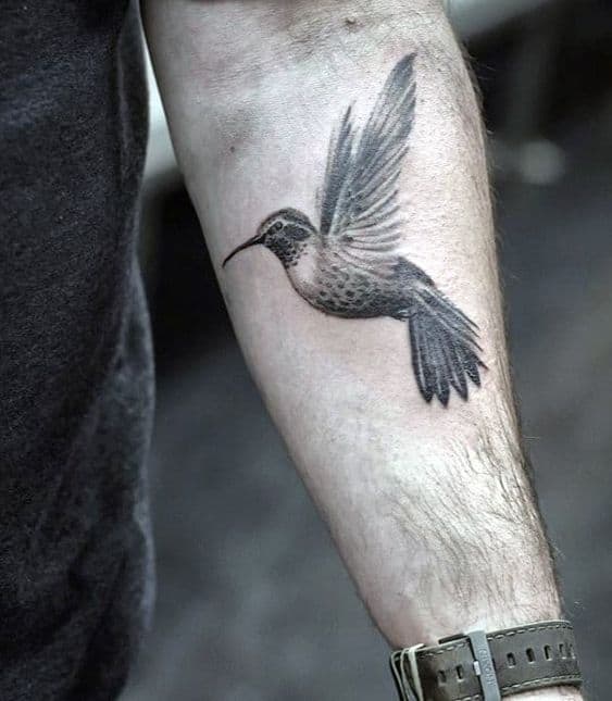 HUmming bird tattoos for men2