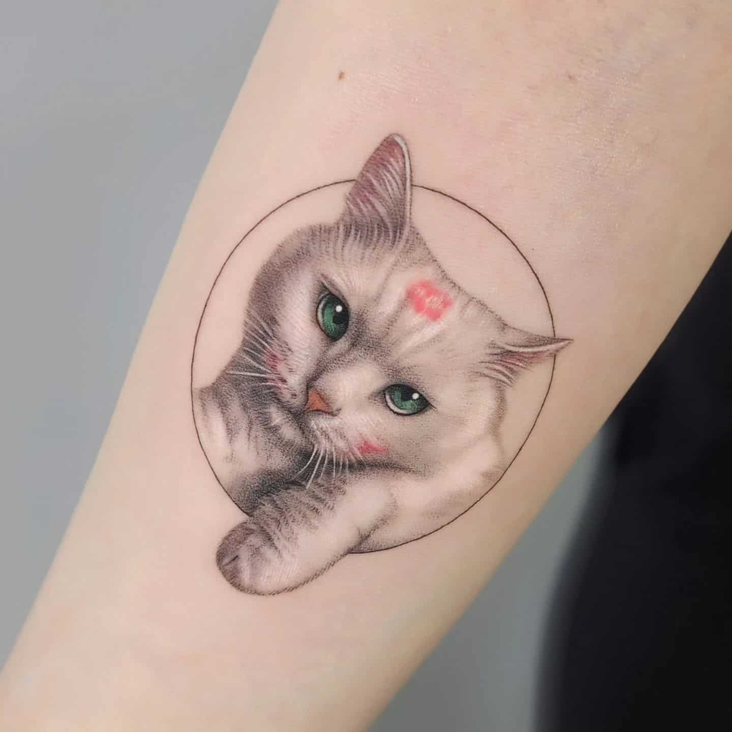 Minimalistic cat tattoo by cien ink