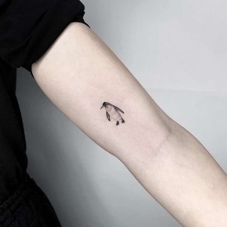Penguin tattoosfor men 2