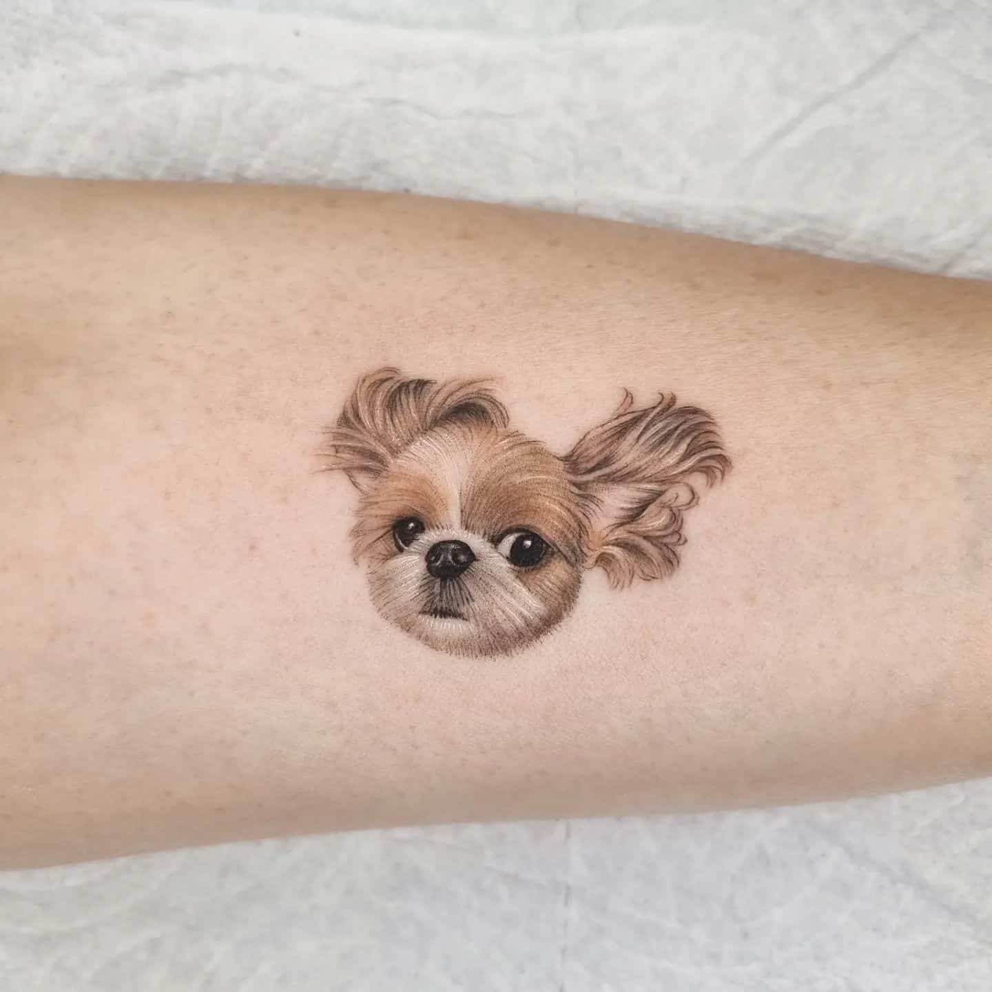 Realistic dog tattoo by tattooist sazin 2