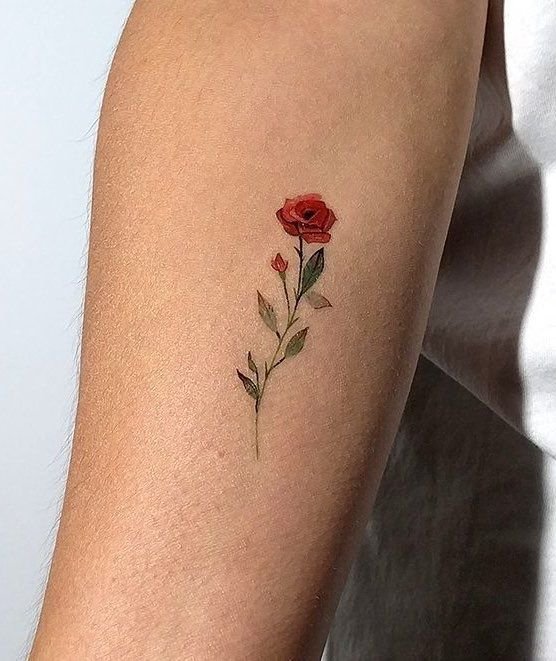 Rose tattoo design 1