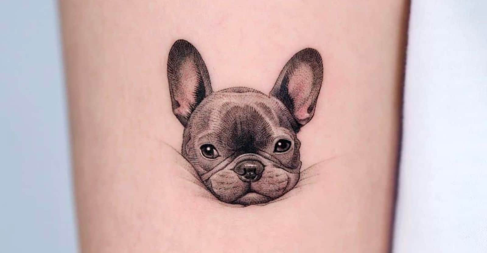 Minimalist dog tattoo commission  rTattooDesigns