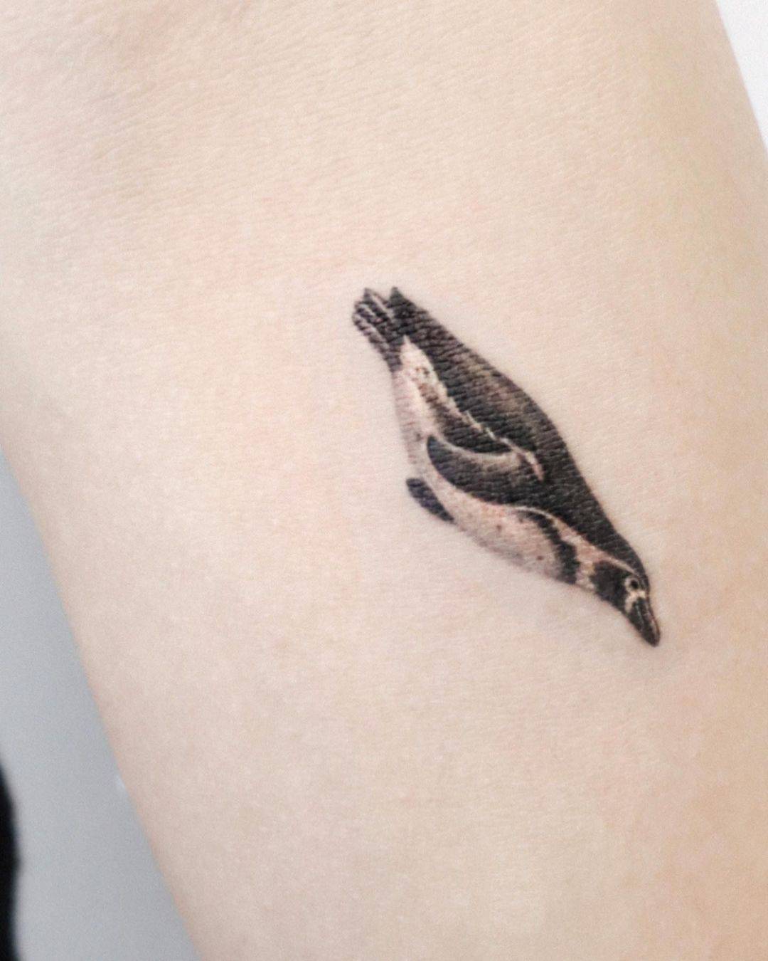 penguin tattoo by ohu tattoo