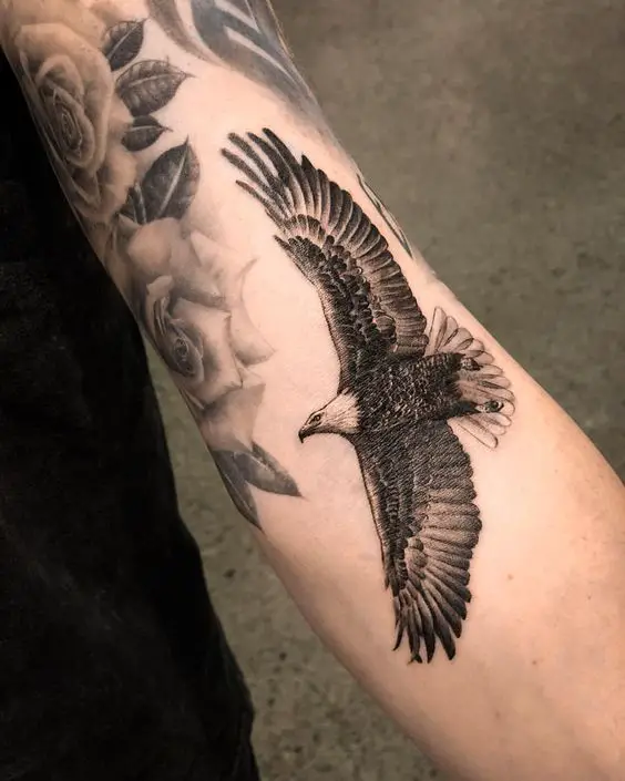 black line tattoo of eagle in egyptian style