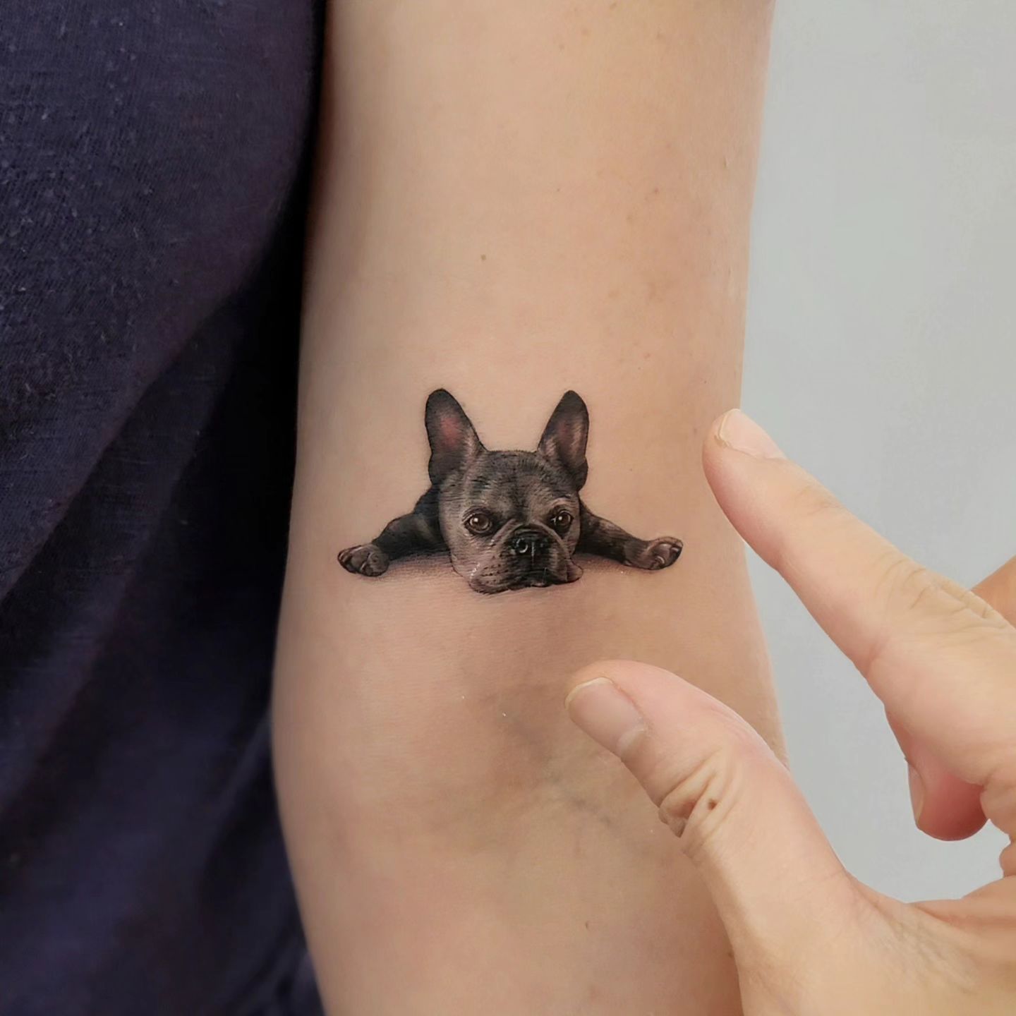 Dog portait tattoo design by cien ink