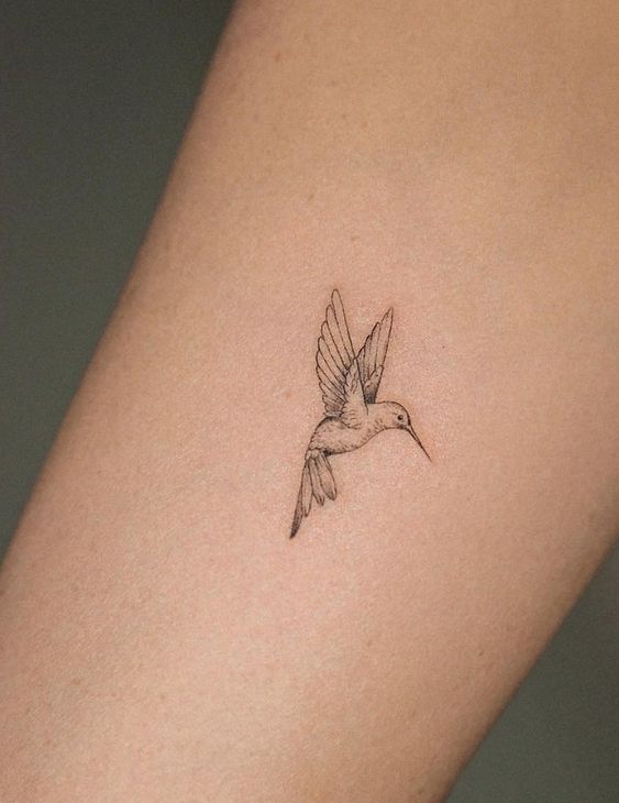 Humming bird tattoo2