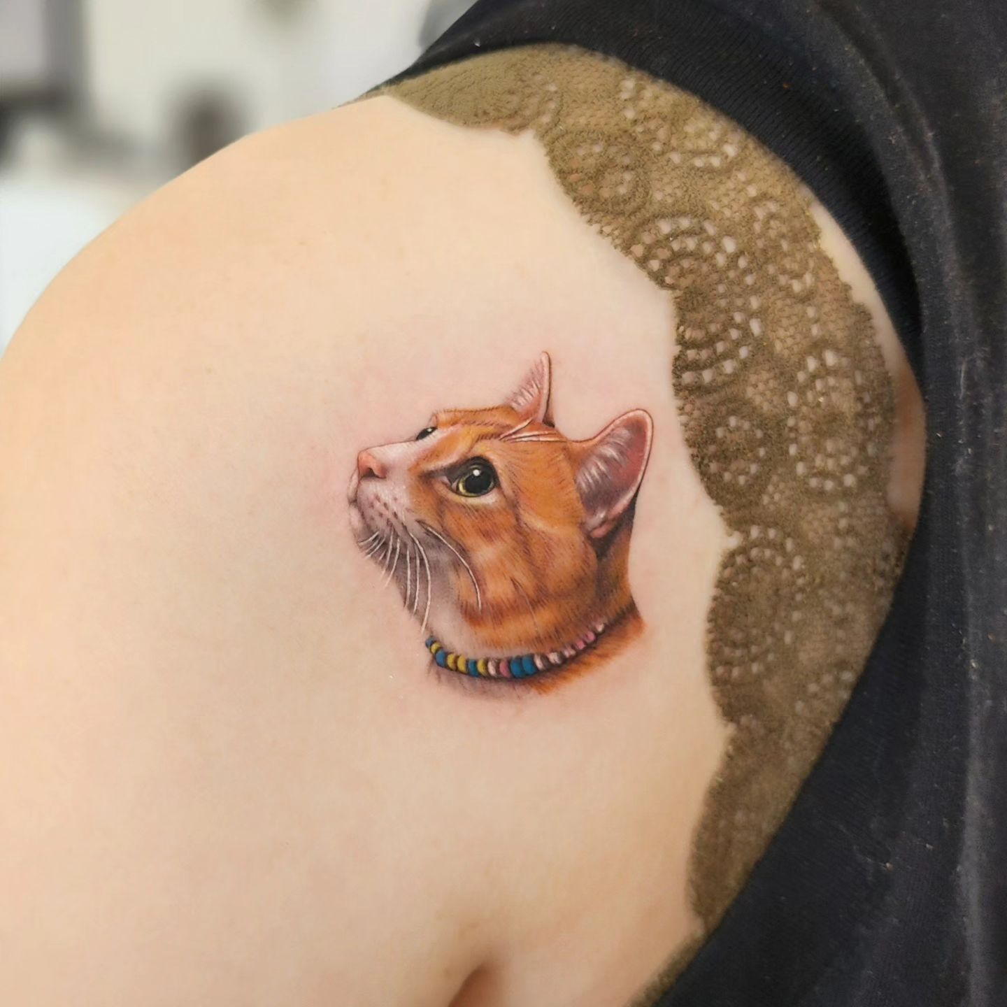 Portrait cat tattoo design by cien ink
