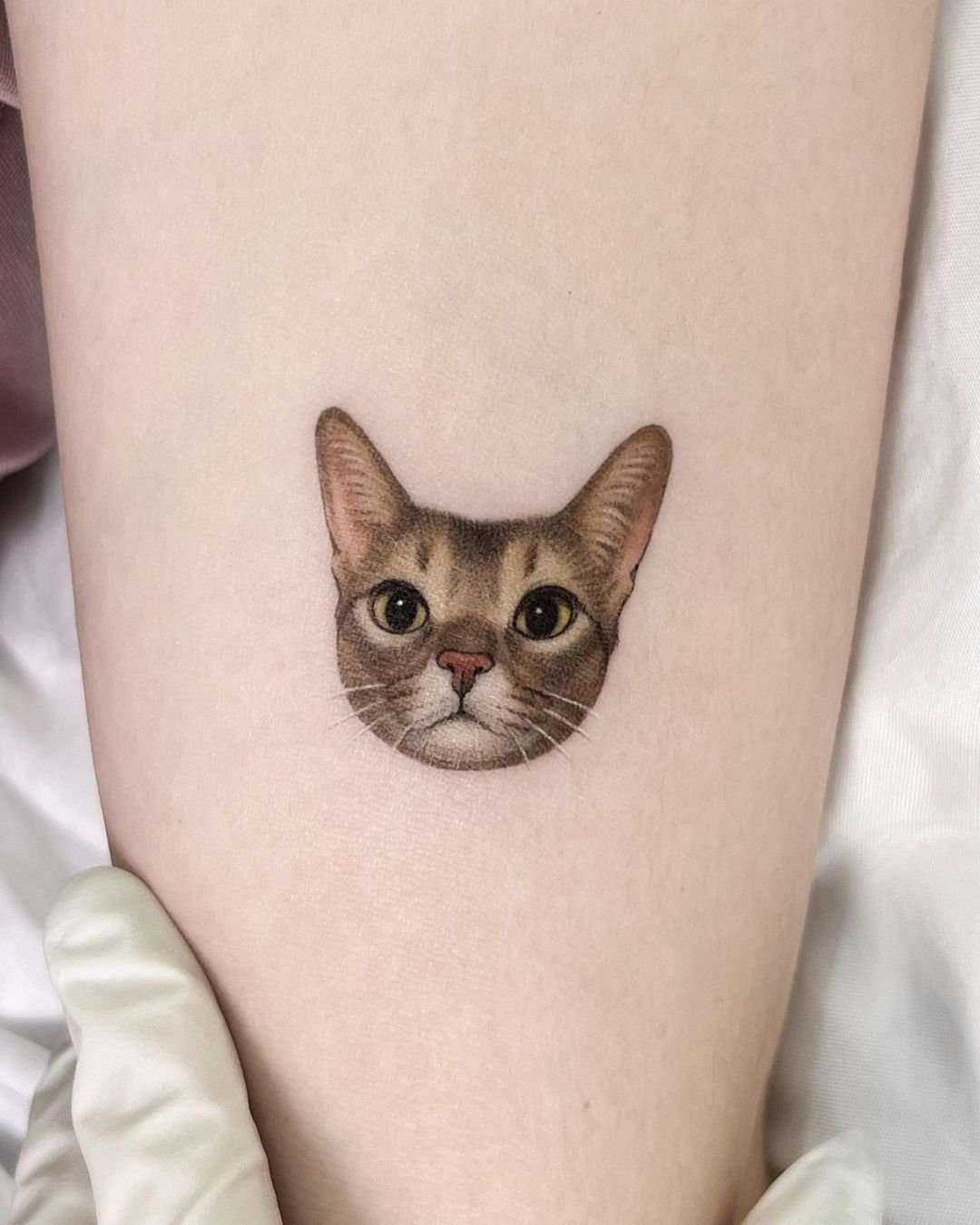 Portrait cat tattoo design by dorok.tattoo