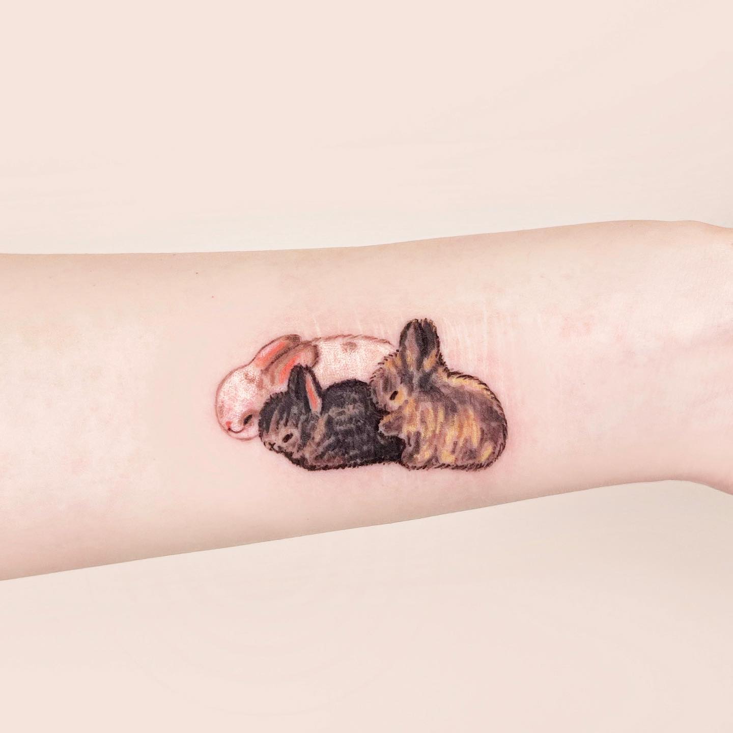 Albino Rabbit thigh color tattoo : Tattoos :