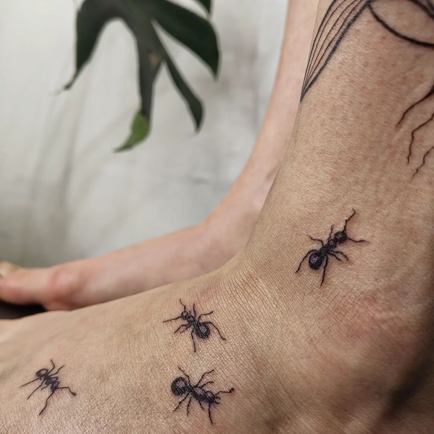 Ant tattoo ideas for men by rhea blu.mi