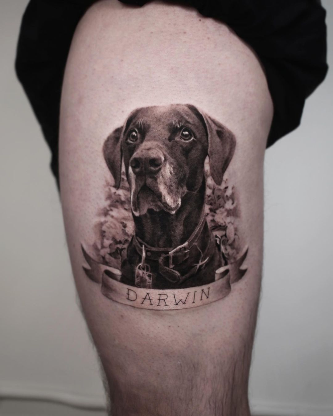 Dog portrait tattoo by goldy z