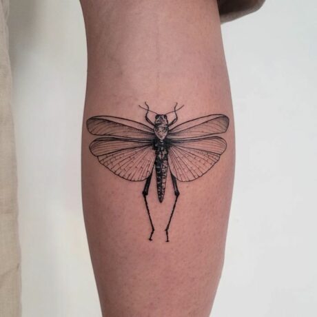 Grasshopper tattoo by aija.may .tattooing