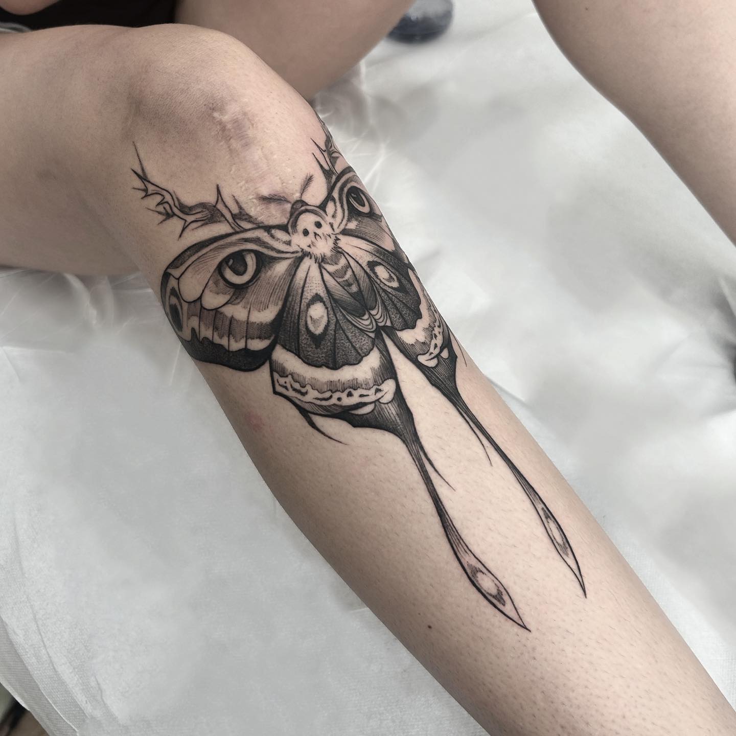 Moth tattoo design by happymonstr