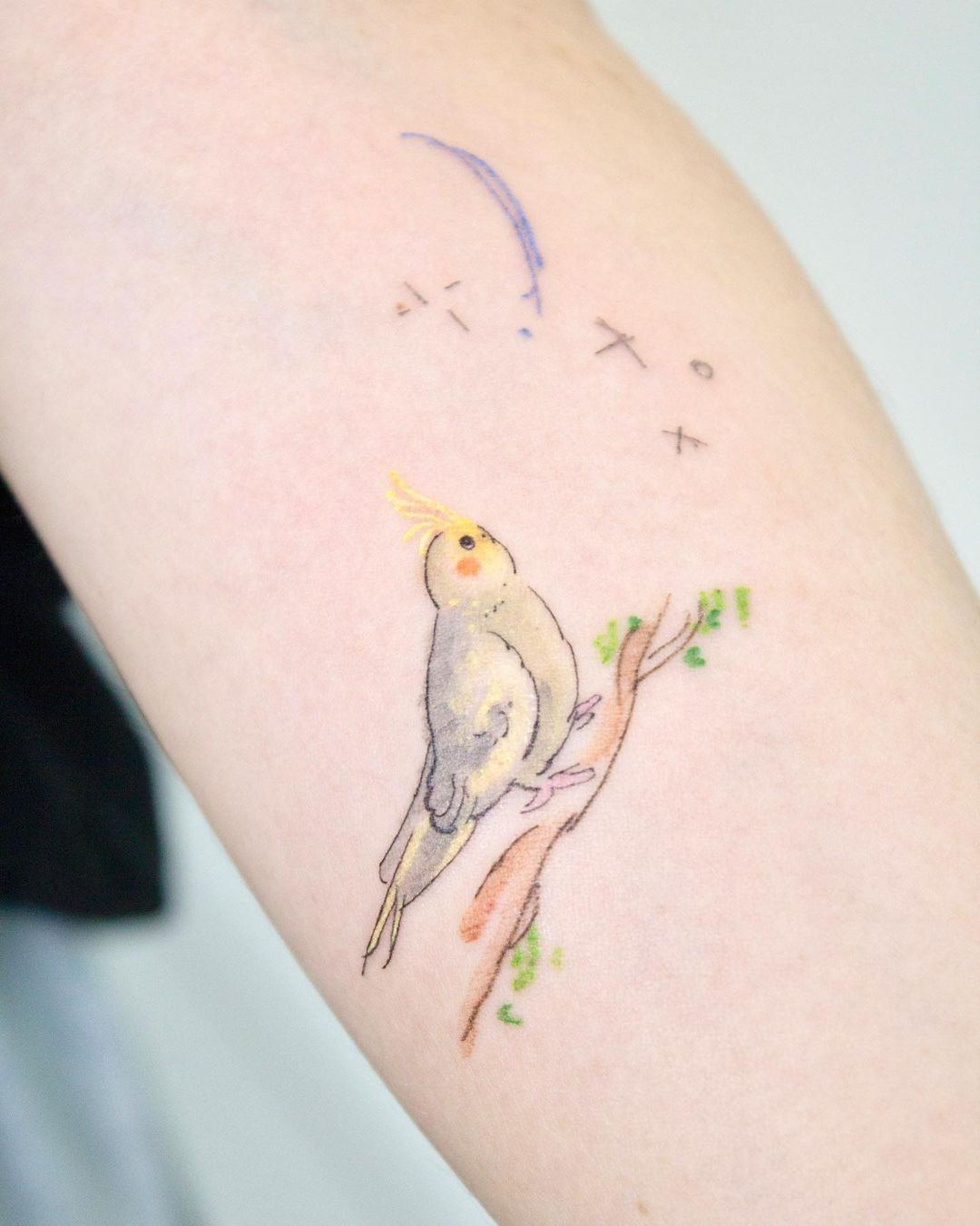 Parrot tattoo ideas for women by dareumtattoo